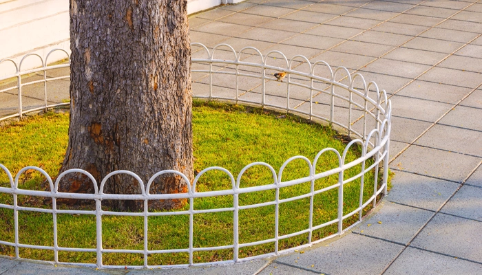 ساخت دورنهالی ساخت دور نهالی ساخت دور درختی تولید دورنهالی تولید دور نهالی تولید دور درختی طراحی دورنهالی طراحی دور نهالی طراحی دور درختی قیمت دورنهالی قیمت دور نهالی قیمت دور درختی توسط شرکت ایده مجریان رستاک